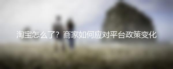 淘宝怎么了？商家如何应对平台政策变化