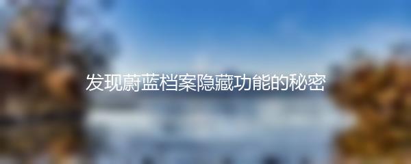 发现蔚蓝档案隐藏功能的秘密