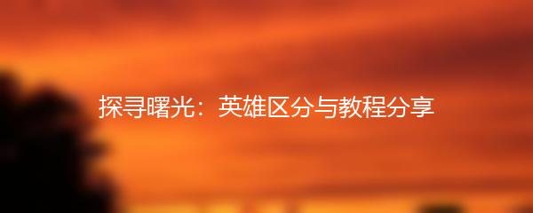 探寻曙光：英雄区分与教程分享