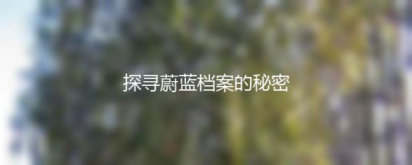 探寻蔚蓝档案的秘密