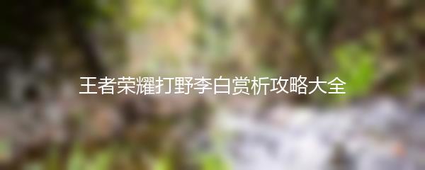 王者荣耀打野李白赏析攻略大全