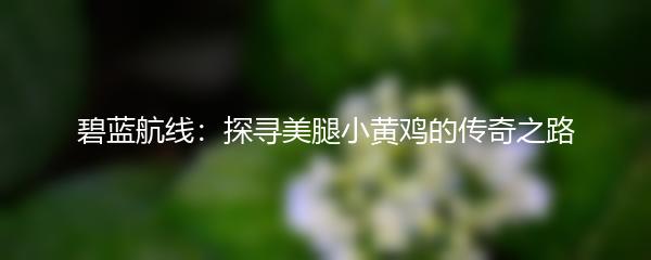 碧蓝航线：探寻美腿小黄鸡的传奇之路