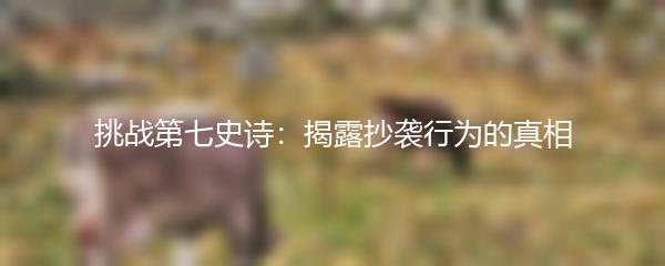 挑战第七史诗：揭露抄袭行为的真相