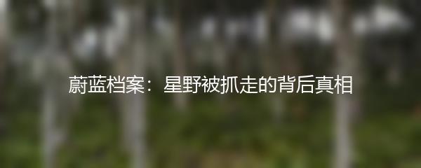蔚蓝档案：星野被抓走的背后真相