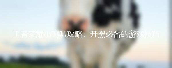 王者荣耀小喇叭攻略：开黑必备的游戏技巧