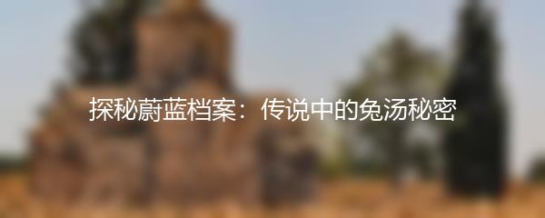 探秘蔚蓝档案：传说中的兔汤秘密