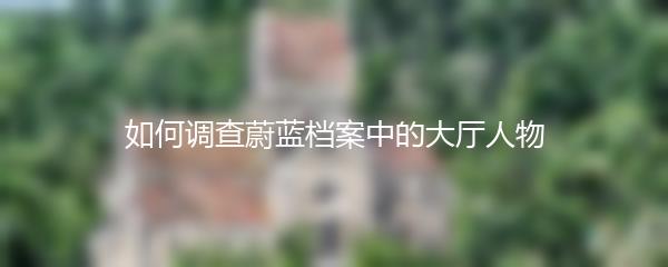 如何调查蔚蓝档案中的大厅人物
