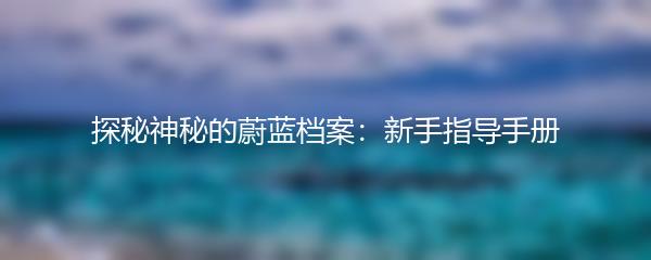 探秘神秘的蔚蓝档案：新手指导手册