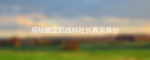 揭秘碧蓝航线林社长真实身份