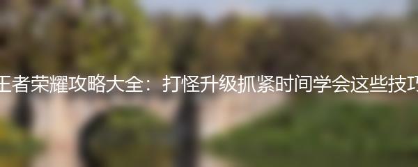 王者荣耀攻略大全：打怪升级抓紧时间学会这些技巧