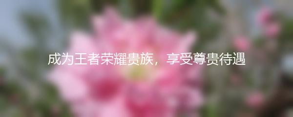 成为王者荣耀贵族，享受尊贵待遇