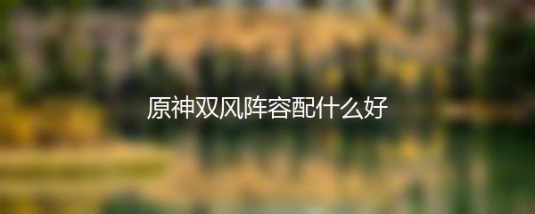 原神双风阵容配什么好