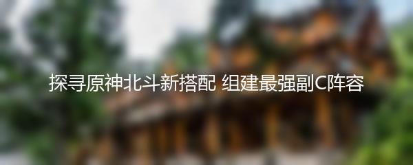 探寻原神北斗新搭配 组建最强副C阵容