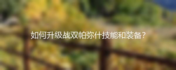 如何升级战双帕弥什技能和装备？