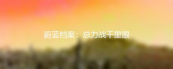 蔚蓝档案：总力战千里眼
