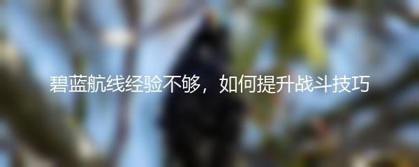 碧蓝航线经验不够，如何提升战斗技巧