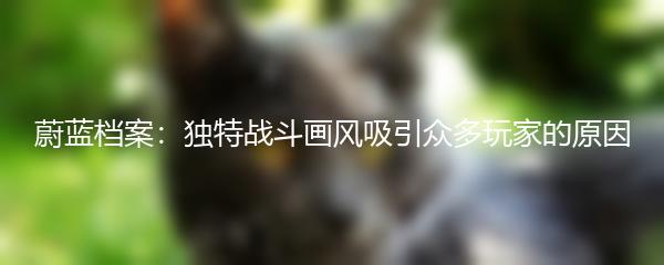 蔚蓝档案：独特战斗画风吸引众多玩家的原因