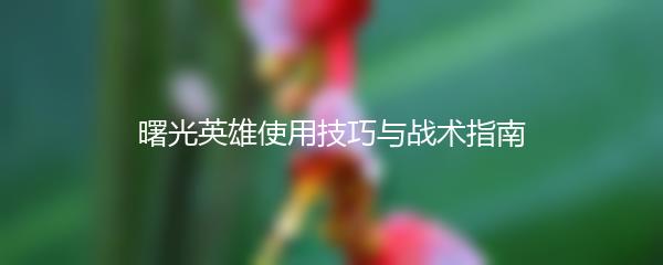曙光英雄使用技巧与战术指南
