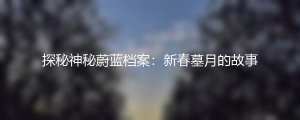 探秘神秘蔚蓝档案：新春墓月的故事