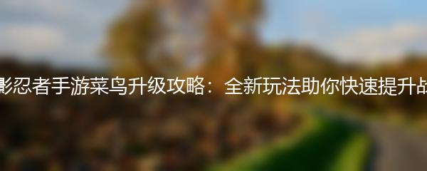 火影忍者手游菜鸟升级攻略：全新玩法助你快速提升战力