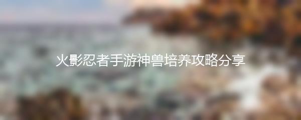 火影忍者手游神兽培养攻略分享