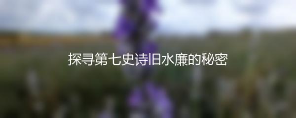 探寻第七史诗旧水廉的秘密