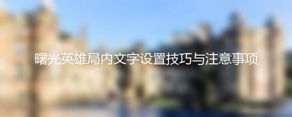 曙光英雄局内文字设置技巧与注意事项