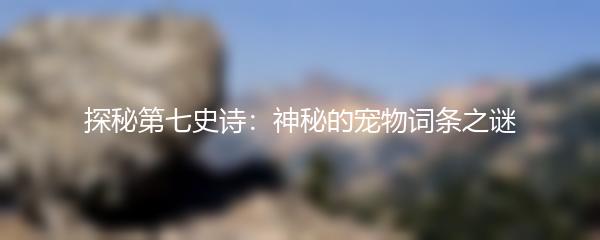 探秘第七史诗：神秘的宠物词条之谜