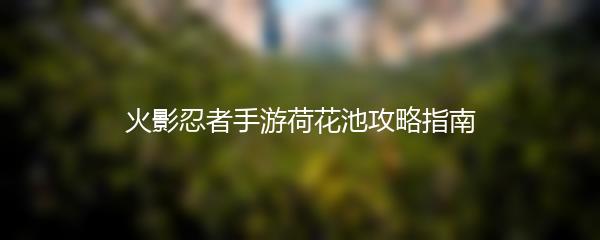 火影忍者手游荷花池攻略指南