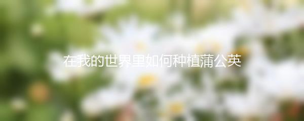 在我的世界里如何种植蒲公英