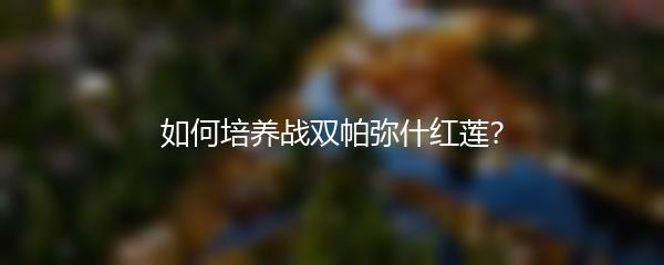 如何培养战双帕弥什红莲？