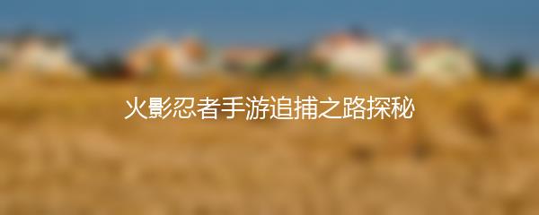 火影忍者手游追捕之路探秘