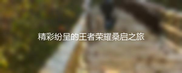 精彩纷呈的王者荣耀桑启之旅