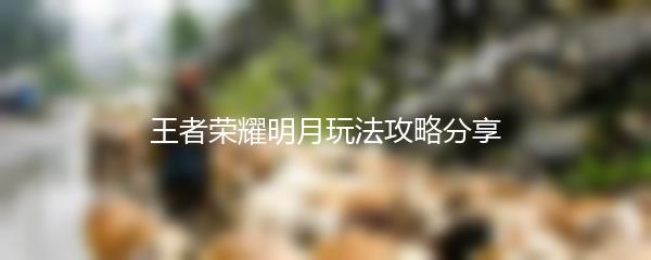 王者荣耀明月玩法攻略分享