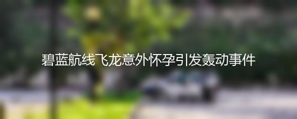 碧蓝航线飞龙意外怀孕引发轰动事件