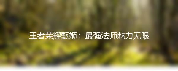 王者荣耀甄姬：最强法师魅力无限