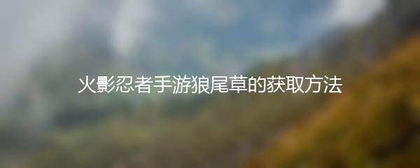 火影忍者手游狼尾草的获取方法