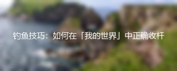 钓鱼技巧：如何在「我的世界」中正确收杆