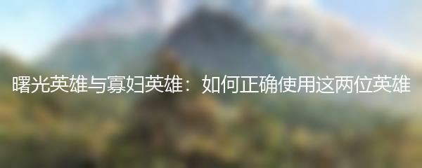 曙光英雄与寡妇英雄：如何正确使用这两位英雄