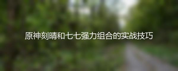 原神刻晴和七七强力组合的实战技巧