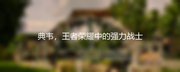 典韦，王者荣耀中的强力战士