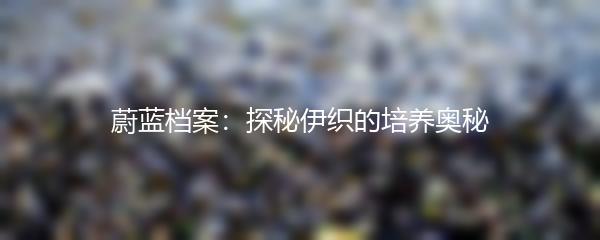 蔚蓝档案：探秘伊织的培养奥秘