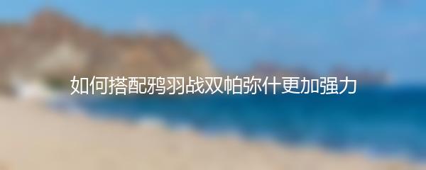 如何搭配鸦羽战双帕弥什更加强力