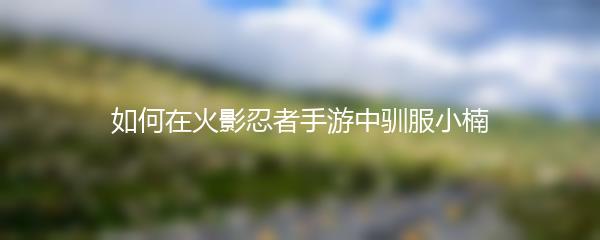 如何在火影忍者手游中驯服小楠