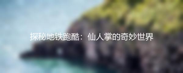 探秘地铁跑酷：仙人掌的奇妙世界