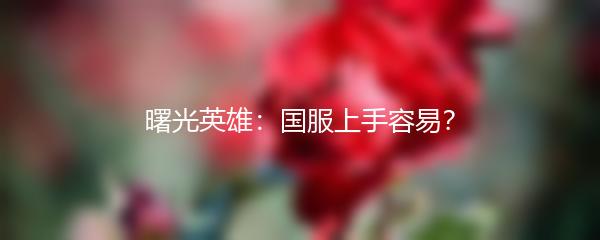 曙光英雄：国服上手容易？