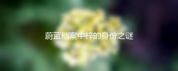 蔚蓝档案中梓的身份之谜