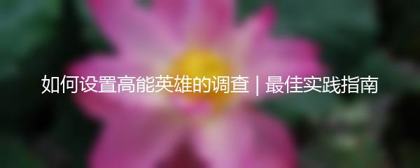 如何设置高能英雄的调查 | 最佳实践指南