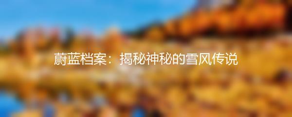 蔚蓝档案：揭秘神秘的雪风传说