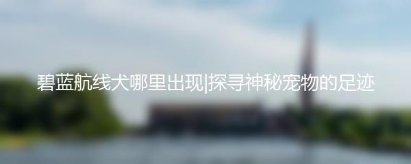 碧蓝航线犬哪里出现|探寻神秘宠物的足迹